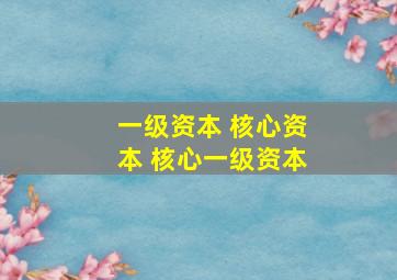 一级资本 核心资本 核心一级资本